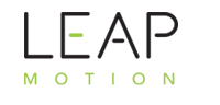 Leap Motion Experiment Logo